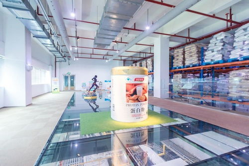 面面旅拍 探索珠海科技工厂，坐拥海洋度假天堂，尽情放纵一夏